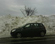 IMG0226A.jpg