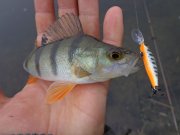 DSC02010.JPG