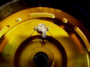 DSC09904.JPG