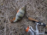 DSC02012.JPG
