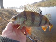 DSC02016.JPG