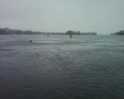 Photo-0001.jpg
