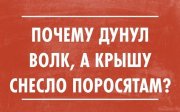 94003106.jpg