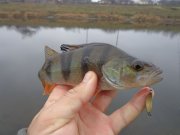 DSC02033.JPG