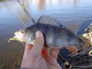 DSC02035.JPG