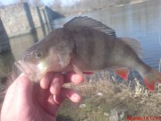 DSC01337.JPG