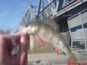 DSC01333.JPG