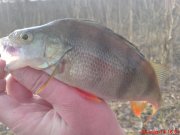 DSC01359.JPG