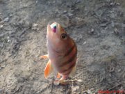 DSC01352.JPG