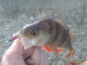 DSC01355.JPG