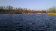 IMAG0434.jpg