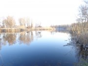 DSC02048.JPG