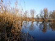 DSC02049.JPG