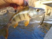 DSC02058.JPG