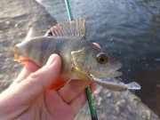 DSC02059.JPG