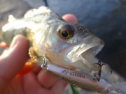 DSC02060.JPG