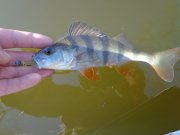 DSC02062.JPG