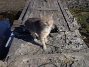 DSC02068.JPG