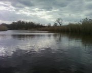 Photo-0004.jpg