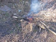 DSCN3058.JPG