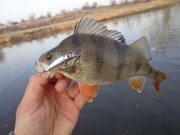DSC02073.JPG