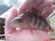 DSC01364.JPG