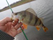 DSC02119.JPG