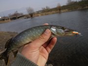 DSC02115.JPG