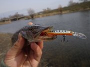 DSC02116.JPG