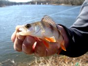 DSC00056.JPG