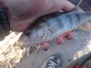 DSC01375.JPG
