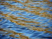 IMG_3474_resize.jpg