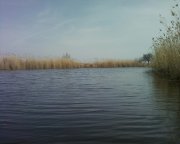 Photo-0001.jpg