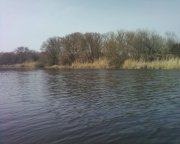 Photo-0002.jpg