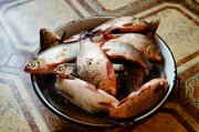 DSC05985.JPG