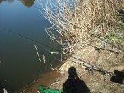 20140323_115210.jpg