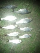 20140323_182407.jpg