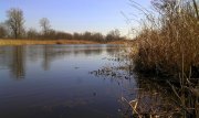 PIC916.jpg