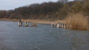 IMG_20140330_115408.jpg
