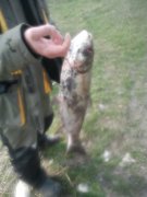 20140330_085345.jpg