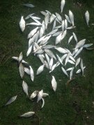 20140330_125010.jpg