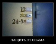 49577758.jpg