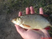 DSC01425.JPG