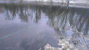 IMAG0463.jpg