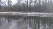 IMAG0464.jpg