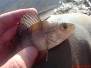 DSC01430.JPG