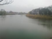 10042014881.jpg