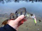 DSC00201.JPG