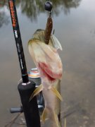 20140413_092315.jpg