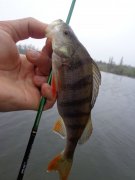 DSC02205.JPG